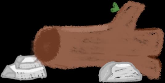 A log.