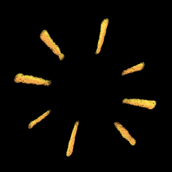 Ray